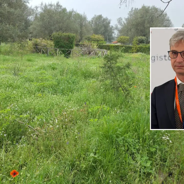 Parco urbano di Vibo nel degrado, Mangialavori si scaglia contro il Comune:\u00A0«Un’indecenza, non provate vergogna?»\n