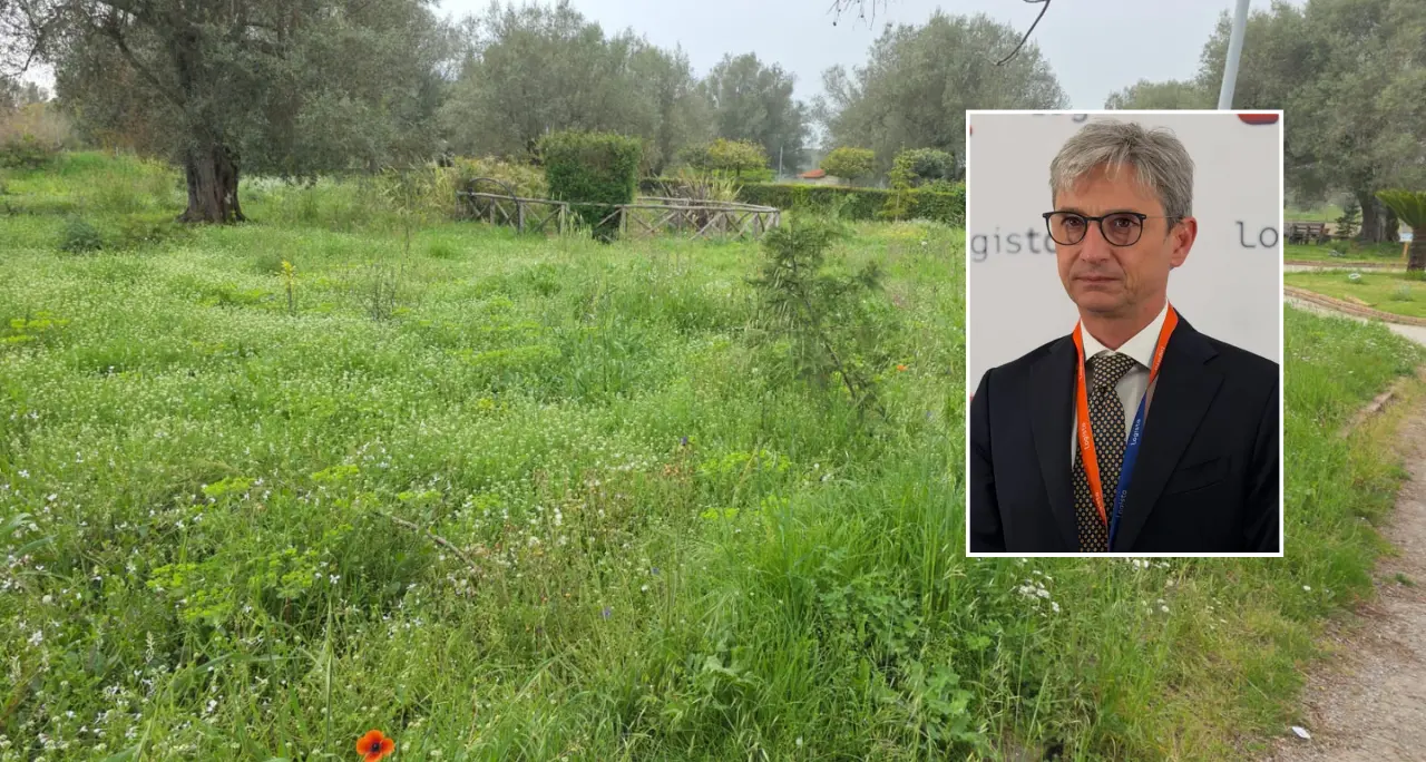 <p>Parco urbano di Vibo nel degrado, Mangialavori si scaglia contro il Comune: «Un’indecenza, <span style=\"color:hsl(0, 75%, 60%);\">non provate vergogna?</span>»</p>