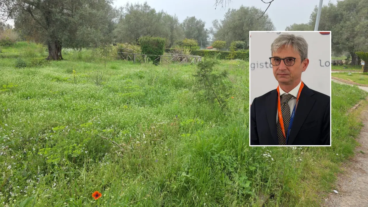 Parco urbano di Vibo nel degrado, Mangialavori si scaglia contro il Comune:\u00A0«Un’indecenza, non provate vergogna?»\n