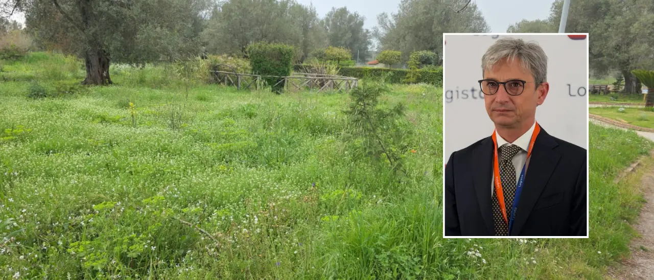 Parco urbano di Vibo nel degrado, Mangialavori si scaglia contro il Comune:\u00A0«Un’indecenza, non provate vergogna?»\n