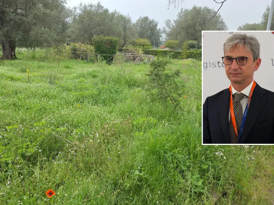 Parco urbano di Vibo nel degrado, Mangialavori si scaglia contro il Comune: «Un’indecenza, non provate vergogna?»