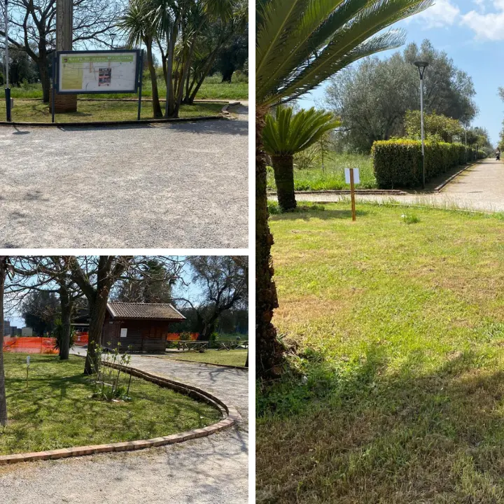 Parco urbano di Vibo, il Comune replica alle accuse di degrado: «Manutenzione avviata, critiche sono solo propaganda»\n