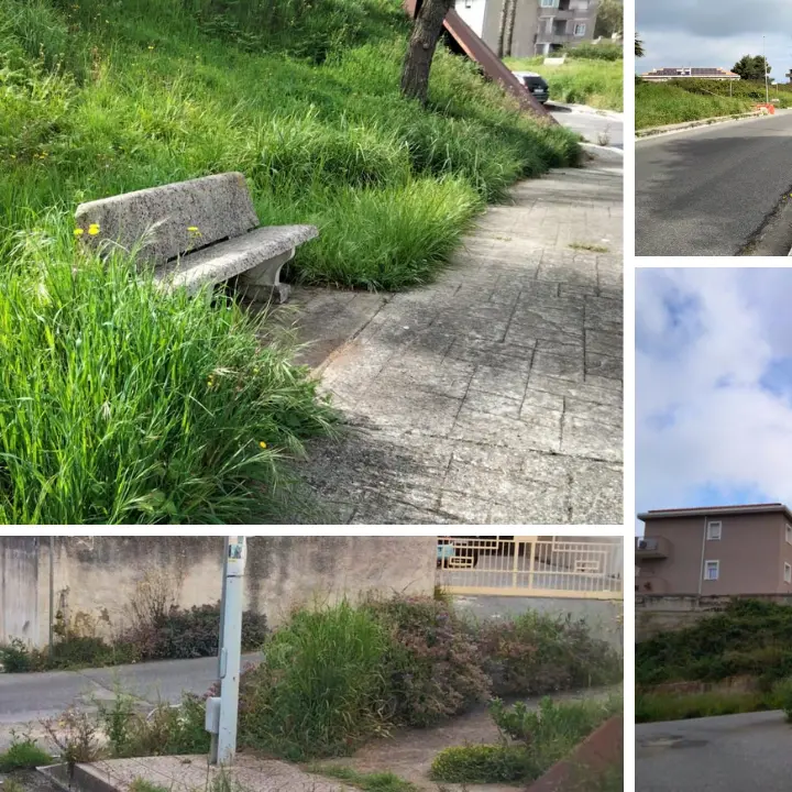 Non solo il Parco urbano, le opposizioni incalzano: «Erbacce e incuria raccontano il degrado di Vibo»\n