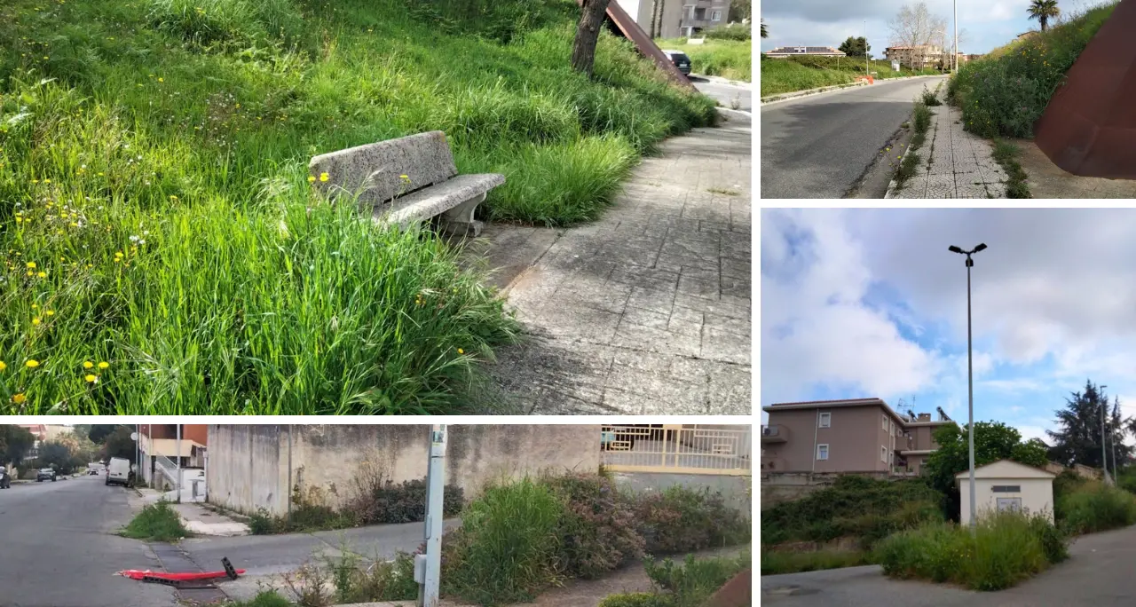 <p>Non solo il Parco urbano, le opposizioni incalzano: «Erbacce e incuria raccontano <span style=\"color:hsl(0, 75%, 60%);\">il degrado di Vibo</span>»</p>