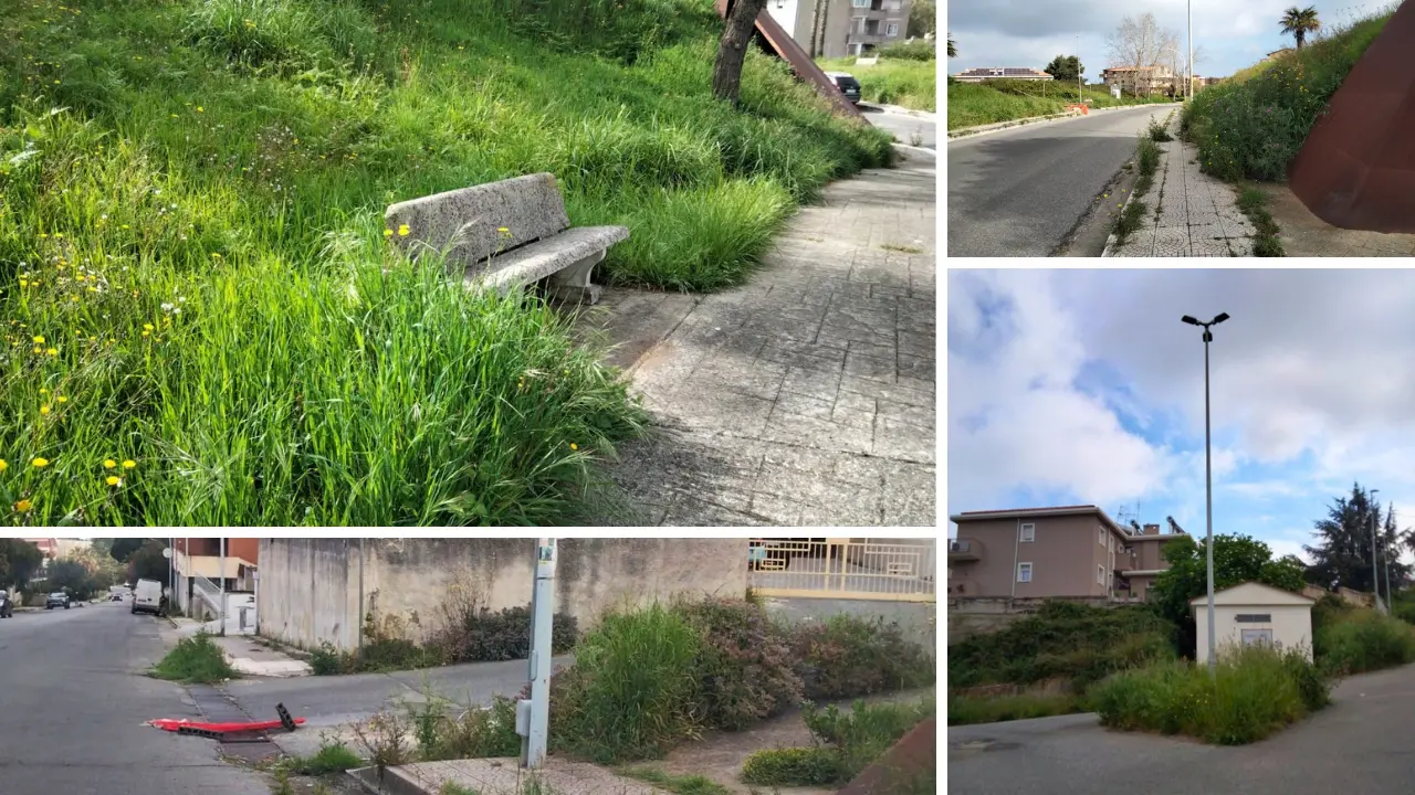 Non solo il Parco urbano, le opposizioni incalzano: «Erbacce e incuria raccontano il degrado di Vibo»\n