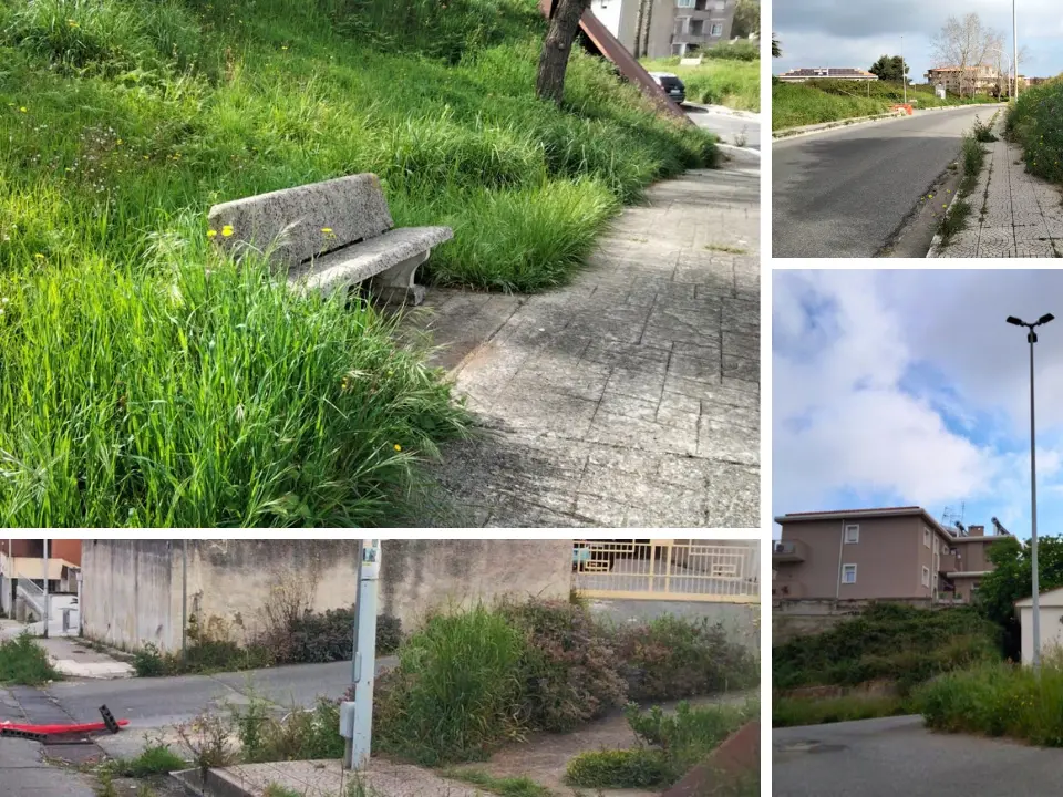 Non solo il Parco urbano, le opposizioni incalzano: «Erbacce e incuria raccontano il degrado di Vibo»