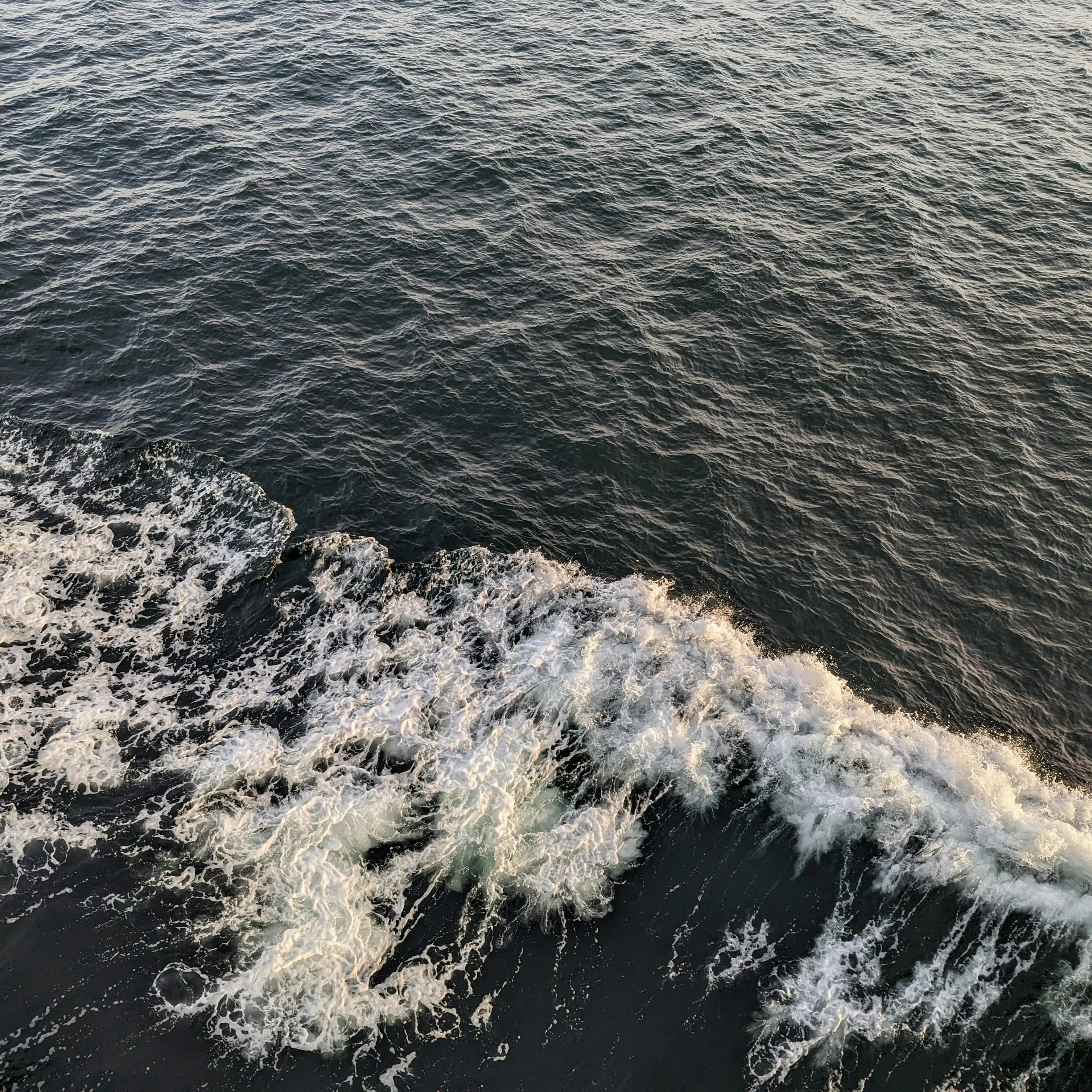 Forte terremoto in Giappone, tsunami con onde alte 80 centimetri: le autorità invitano la popolazione a evacuare\n