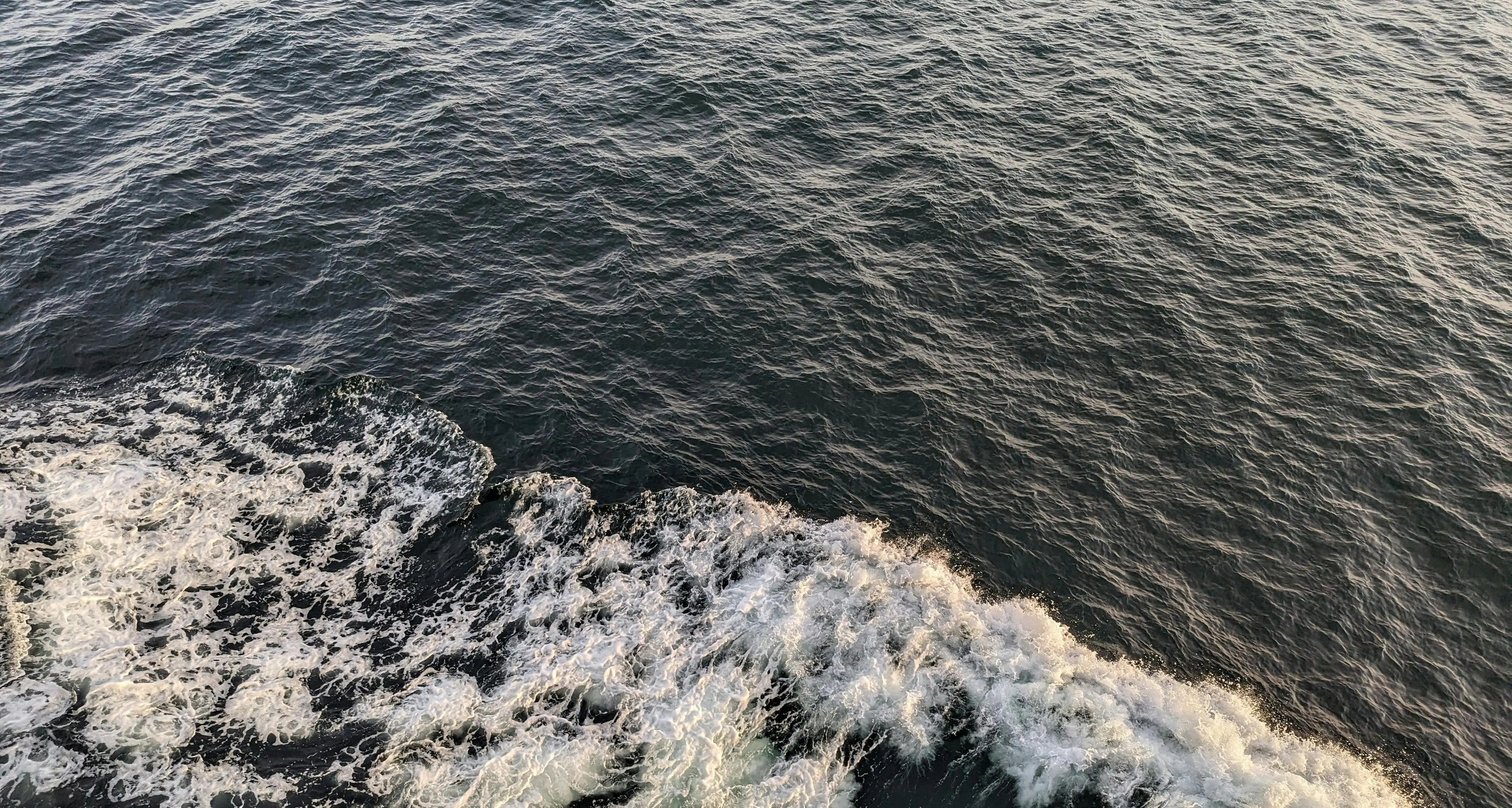 Forte terremoto in Giappone, tsunami con onde alte 80 centimetri: le autorità invitano la popolazione a evacuare\n