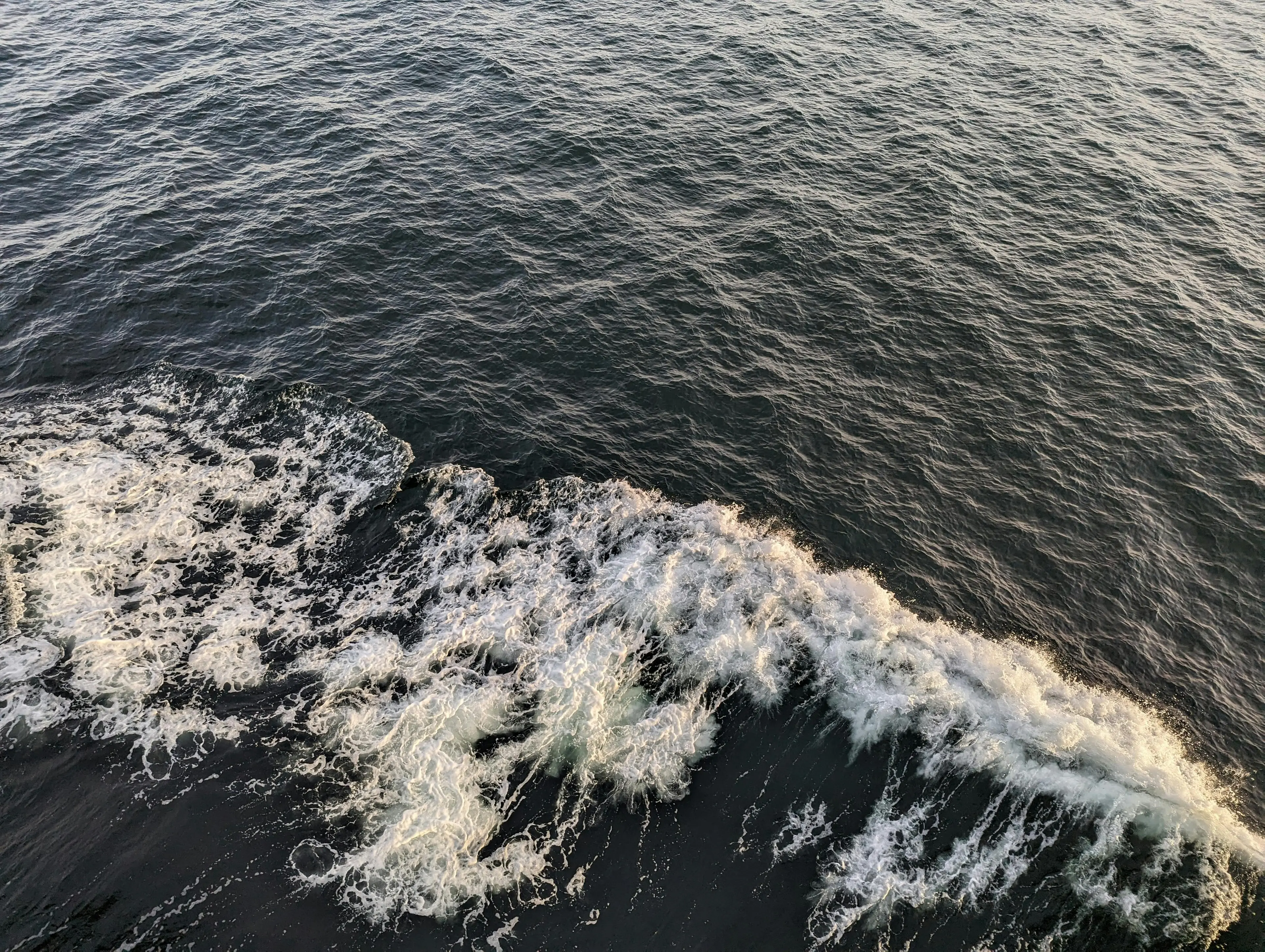 Forte terremoto in Giappone, tsunami con onde alte 80 centimetri: le autorità invitano la popolazione a evacuare\n