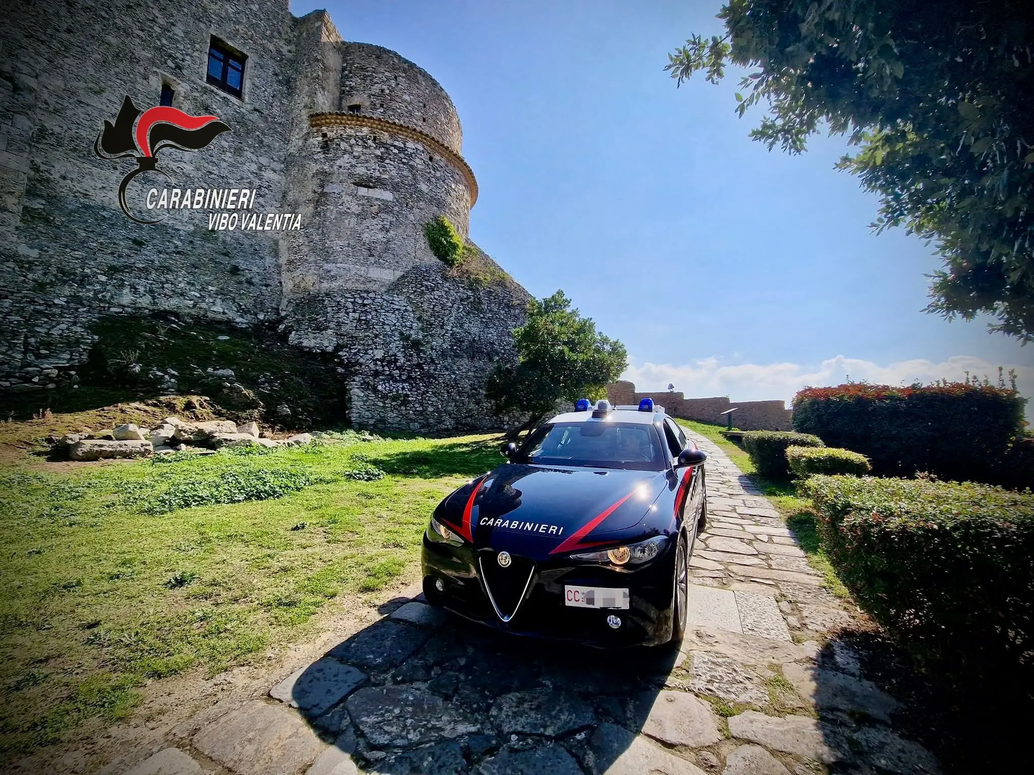 Controlli nel Vibonese, il bilancio dei carabinieri: droga, aggressioni, minacce ai militari e un arresto\n