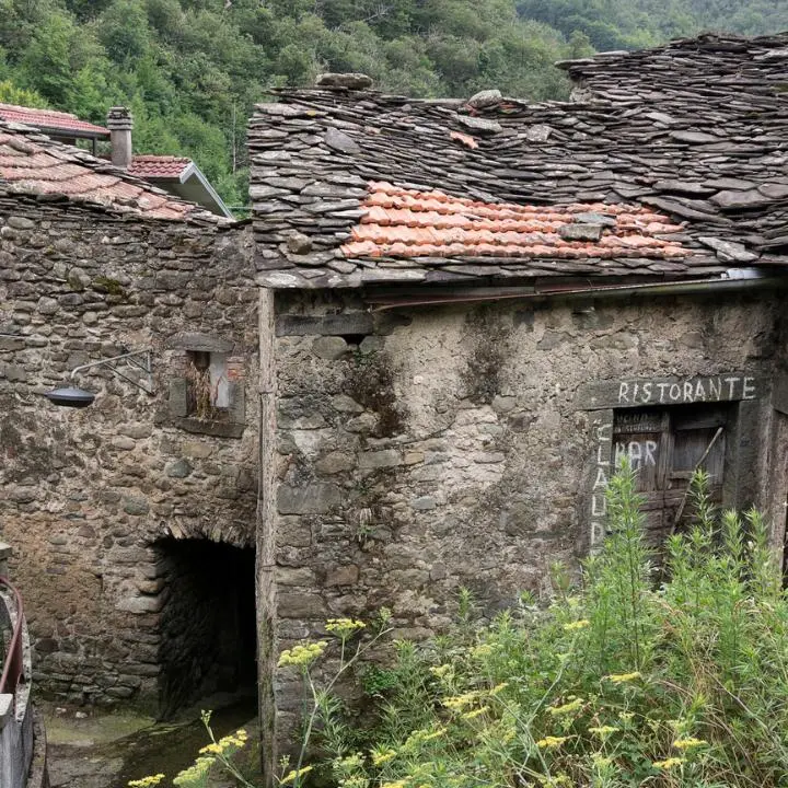 <p>Spopolamento, il Vibonese scompare lentamente: in 33 anni persi 30mila residenti, record a Polia (-78%)</p>