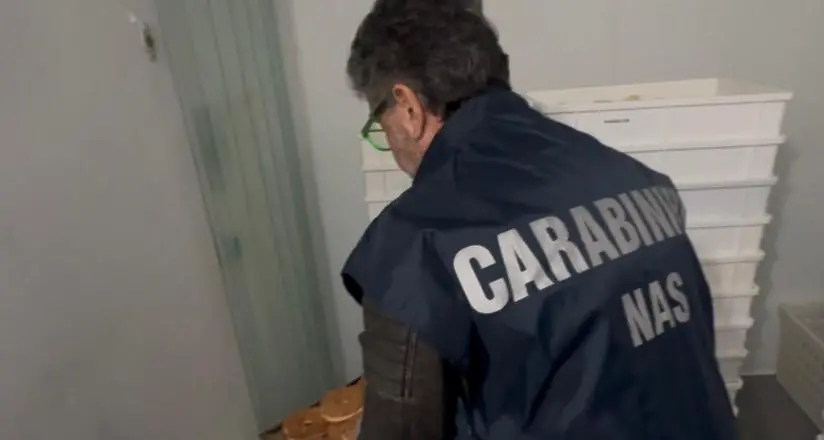 Intensificati i controlli sui luoghi di lavoro e sulla sicurezza alimentare a Sellia Marina\n