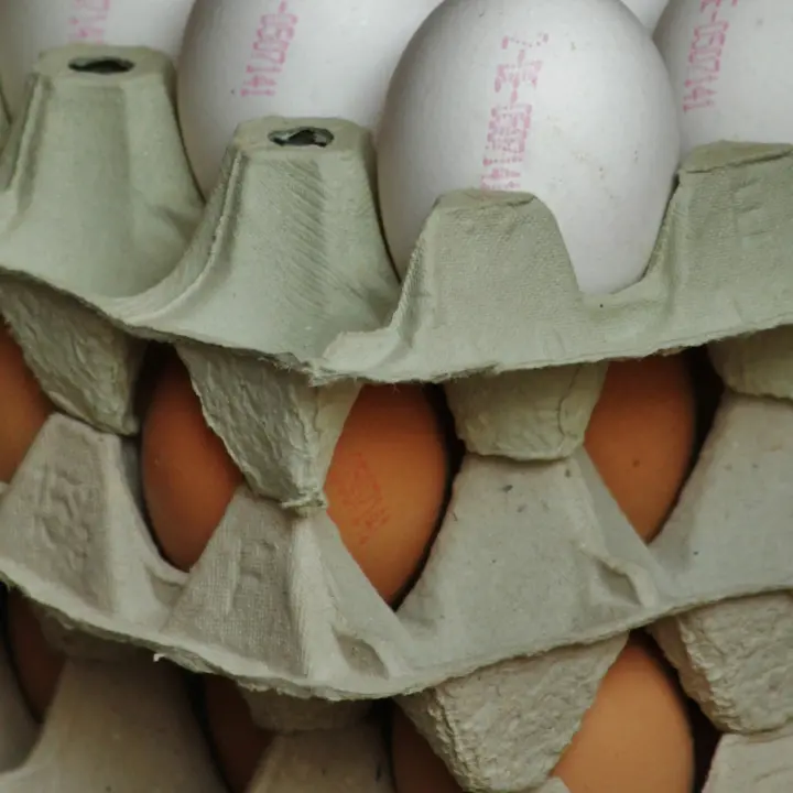 Salmonella in un allevamento vibonese, richiamate tre partite di uova marchio Uovosol prodotte a Limbadi