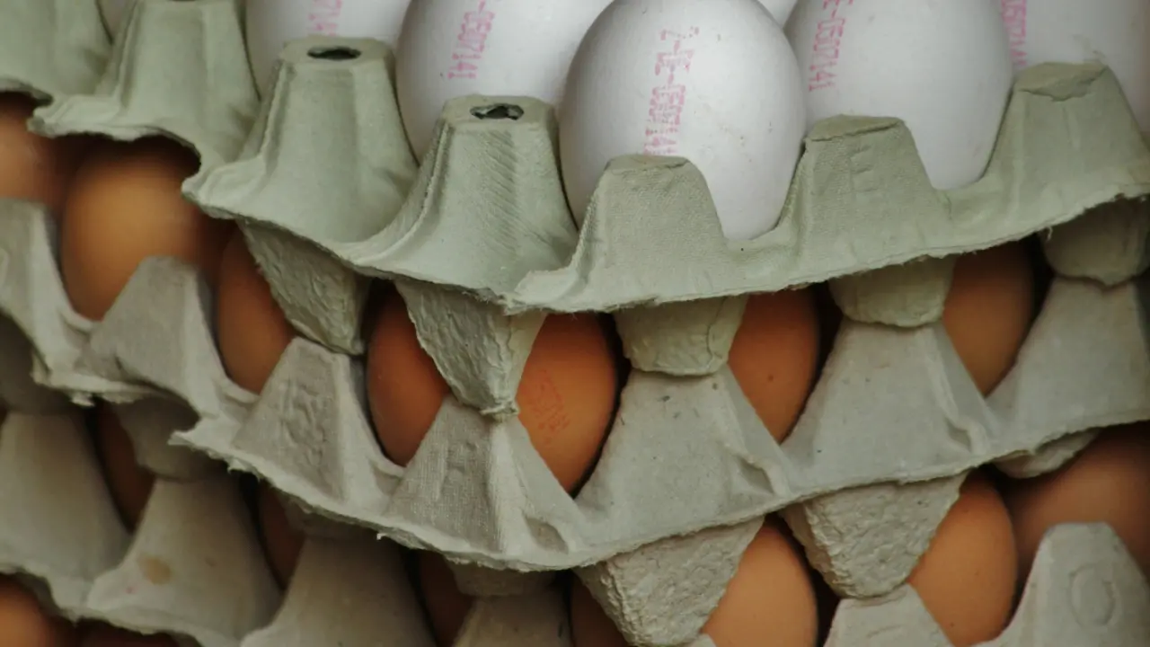 Salmonella in un allevamento vibonese, richiamate tre partite di uova marchio Uovosol prodotte a Limbadi