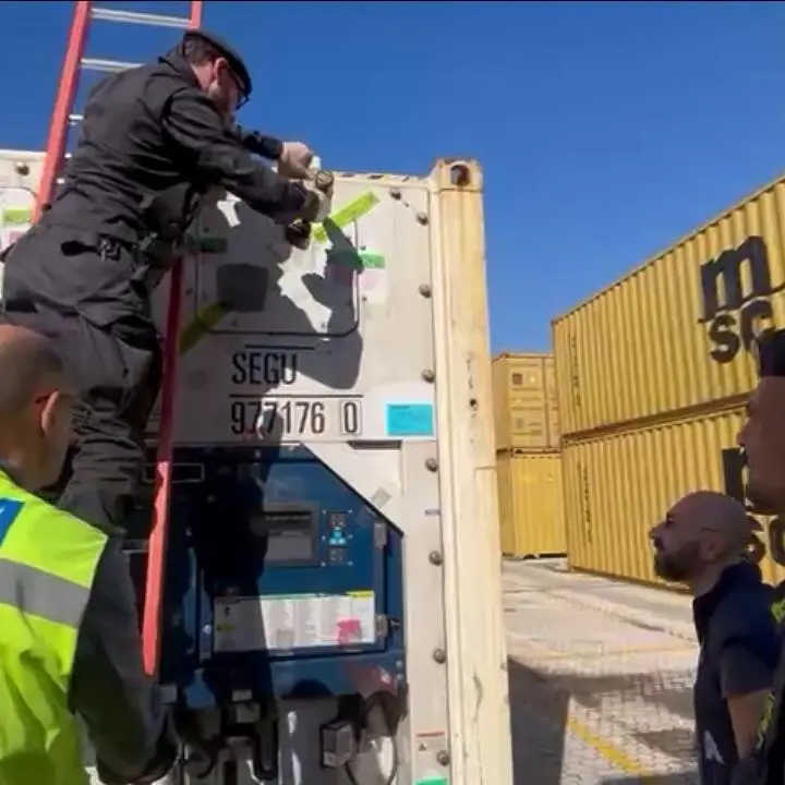 ’Ndrangheta, gli affari vanno in porto: la Calabria e Gioia Tauro snodo centrale per i traffici criminali\n