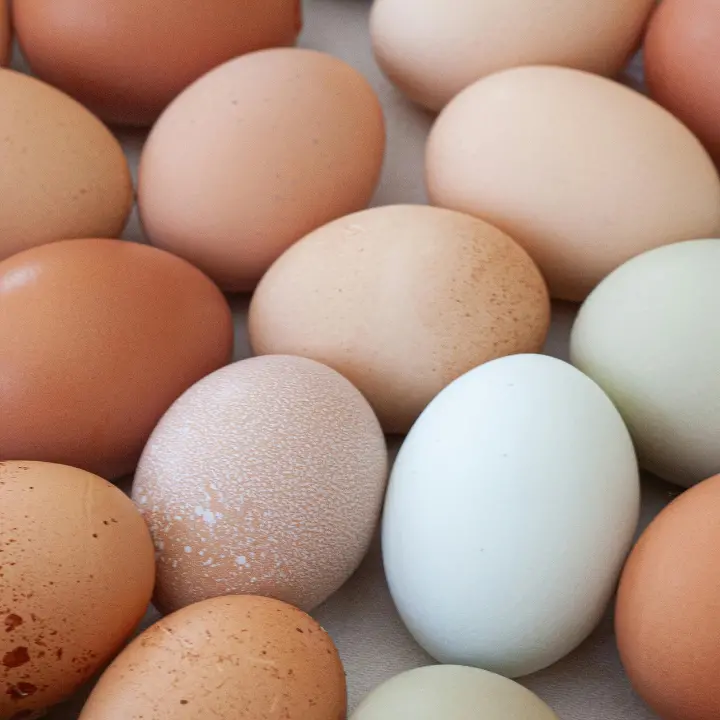 Salmonella, l'azienda di Limbadi dopo il richiamo di tre confezioni di uova: «Ritiro solo precauzionale, analisi negative»\n