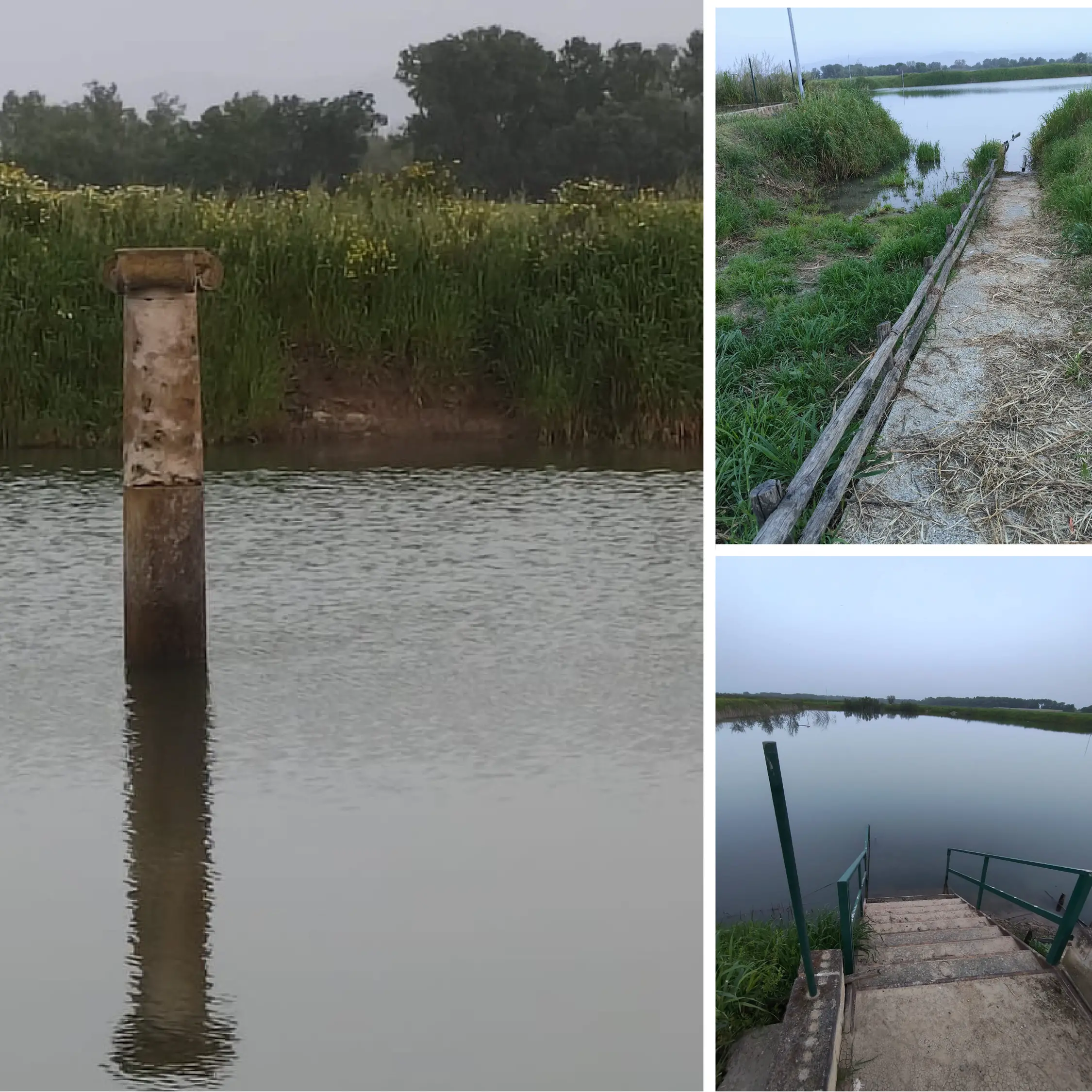 Il Parco archeologico di Sibari ancora sott’acqua, da oltre due mesi è una palude: l’appello al Governo