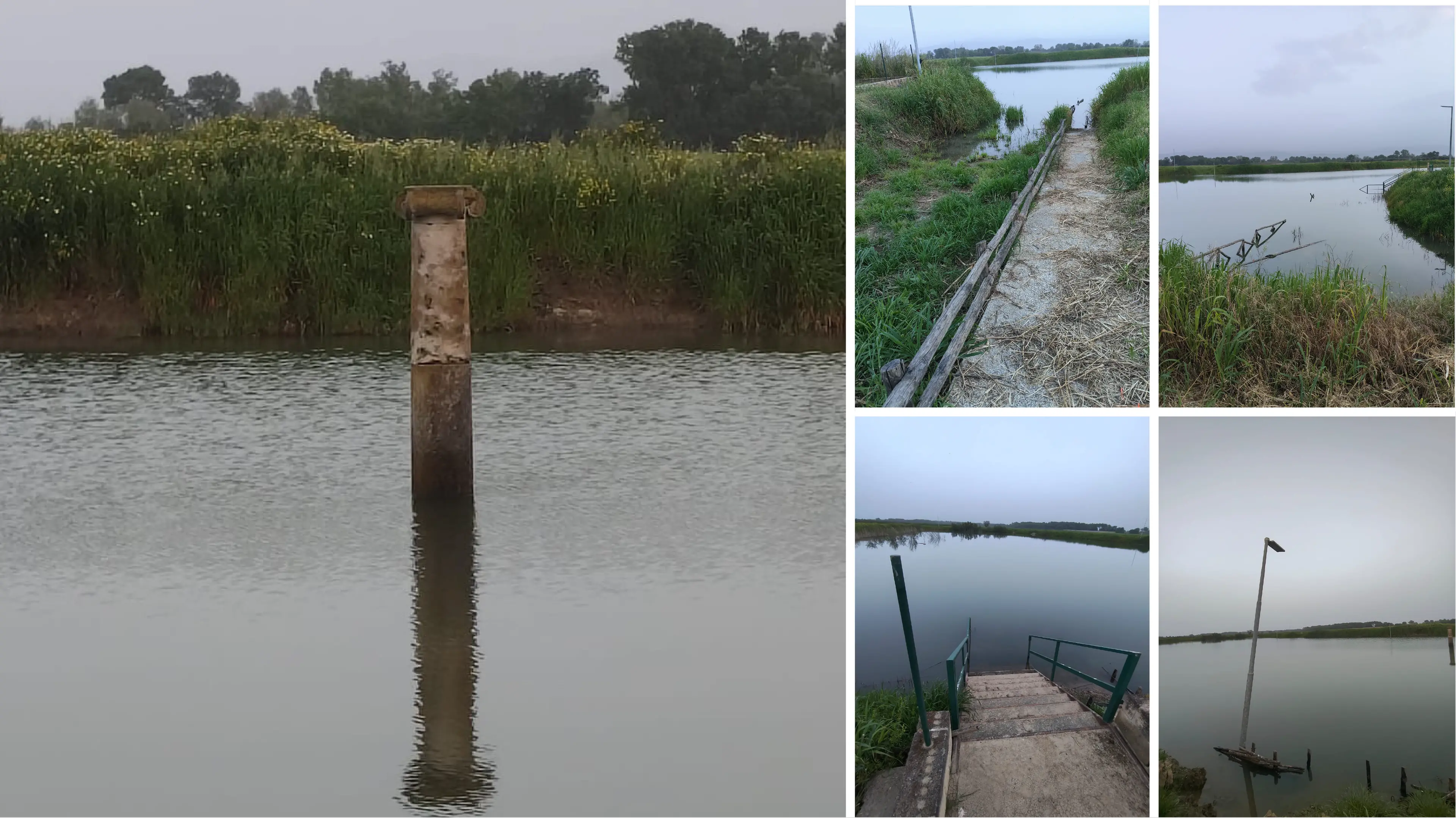 <p>Il Parco archeologico di Sibari ancora sott’acqua, da oltre due mesi è<span style=\"color:hsl(0, 75%, 60%);\"> una palude</span>: l’appello al Governo</p>