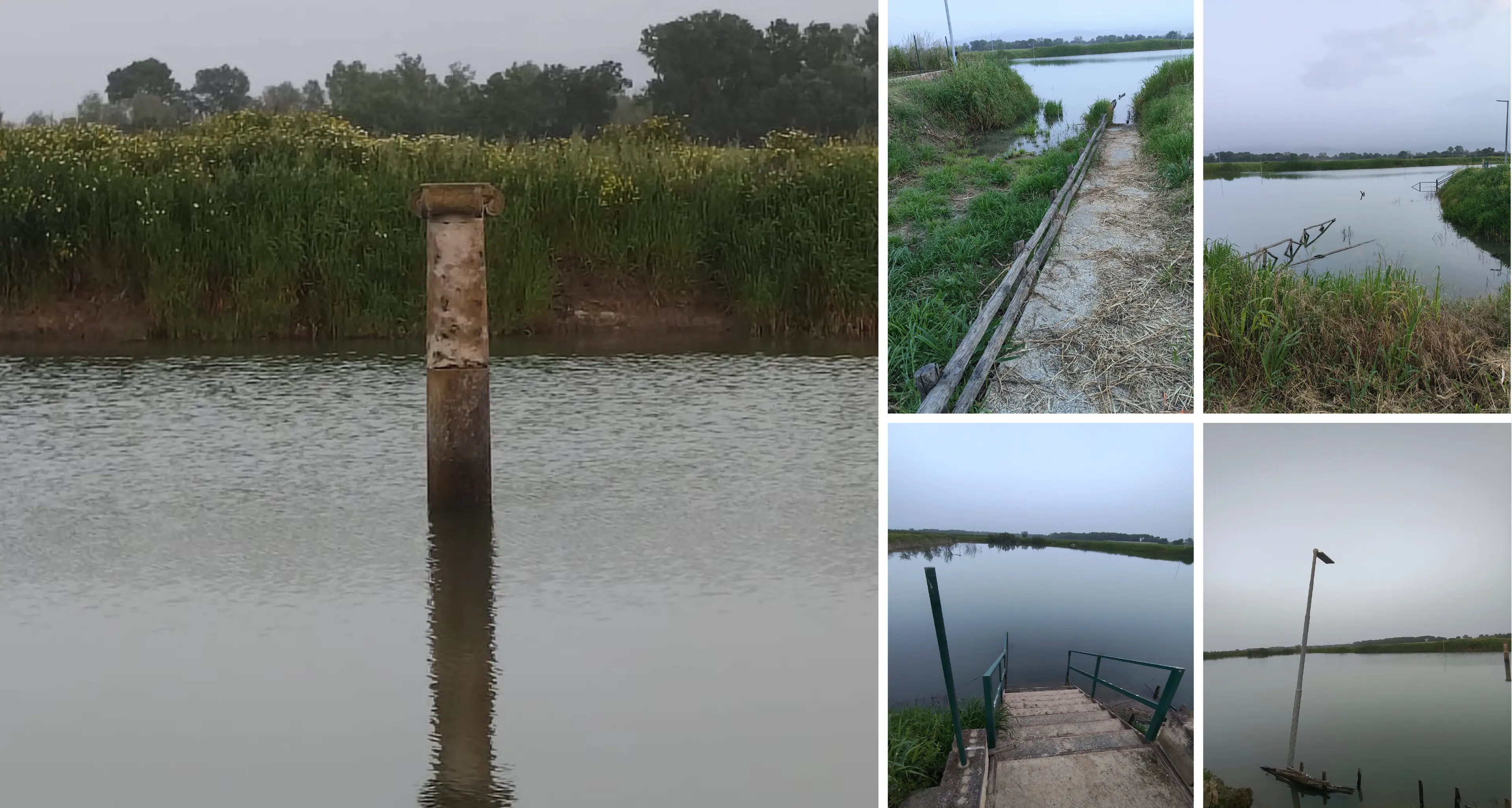 Il Parco archeologico di Sibari ancora sott’acqua, da oltre due mesi è una palude: l’appello al Governo