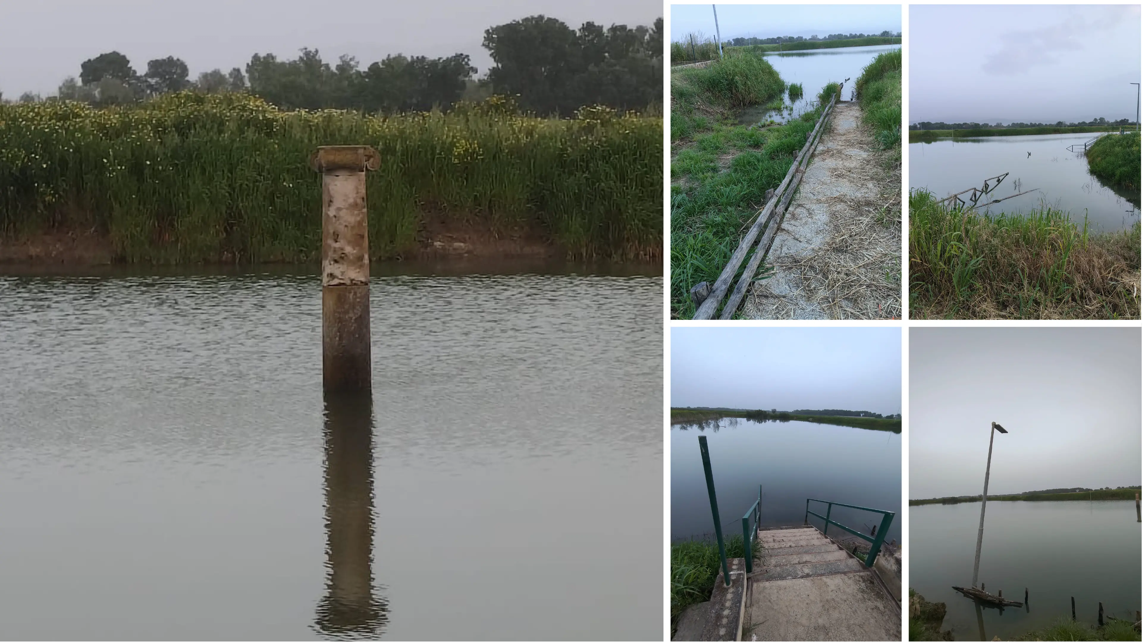 Il Parco archeologico di Sibari ancora sott’acqua, da oltre due mesi è una palude: l’appello al Governo