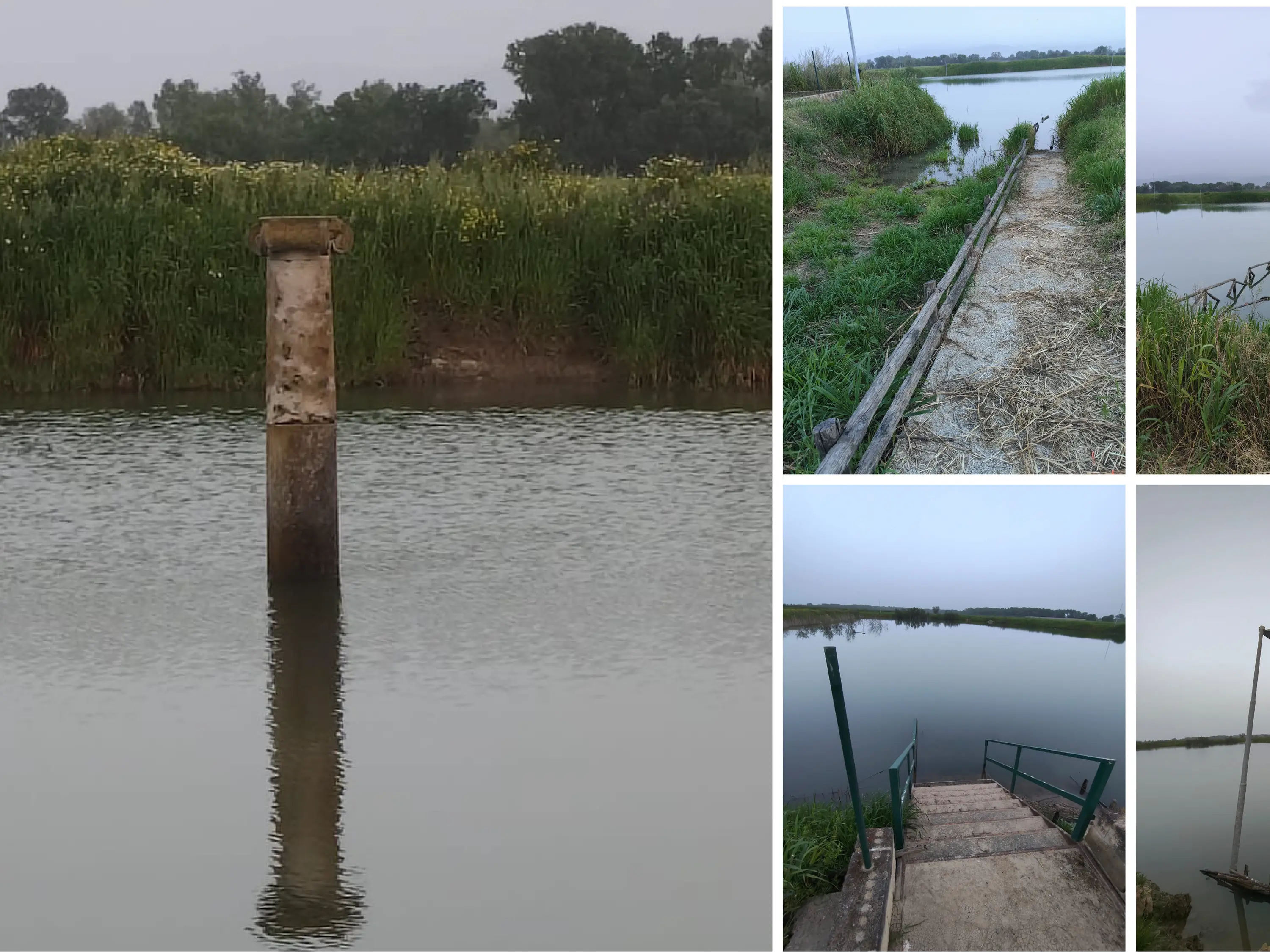 Il Parco archeologico di Sibari ancora sott’acqua, da oltre due mesi è una palude: l’appello al Governo