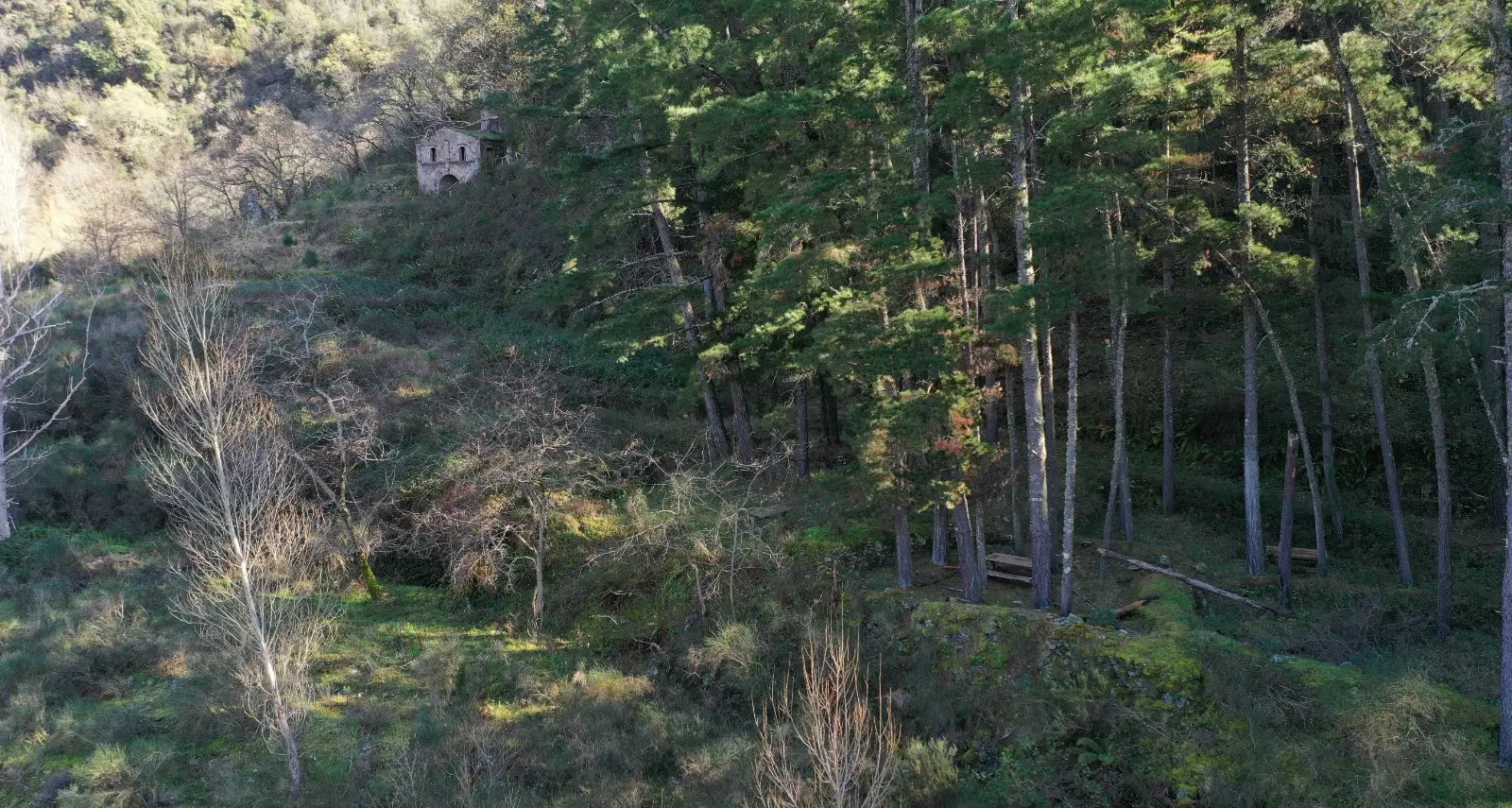 Podargoni: ancora un passo avanti per la rigenerazione del borgo\n