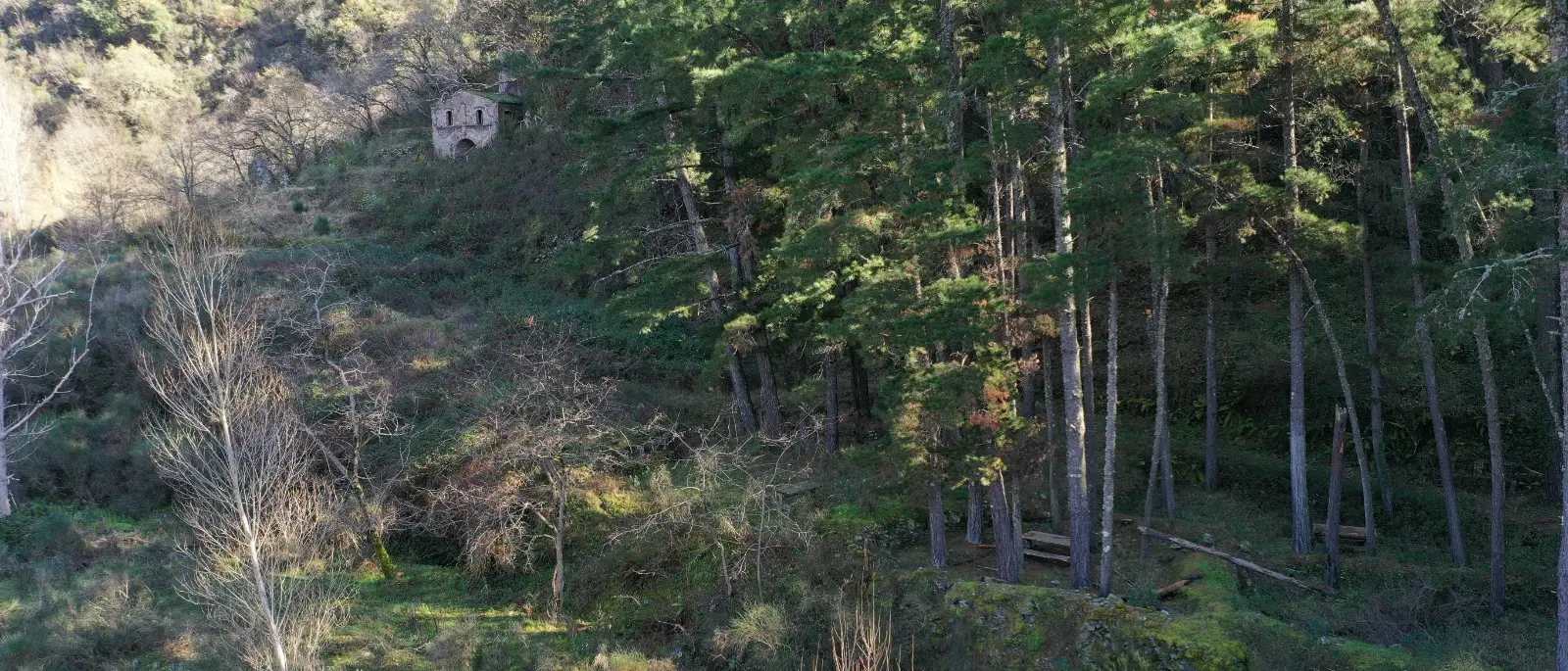 Podargoni: ancora un passo avanti per la rigenerazione del borgo\n