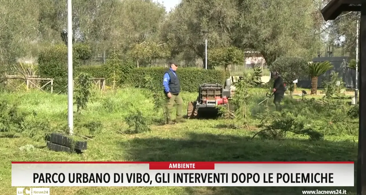 Parco urbano di Vibo, gli interventi dopo le polemiche