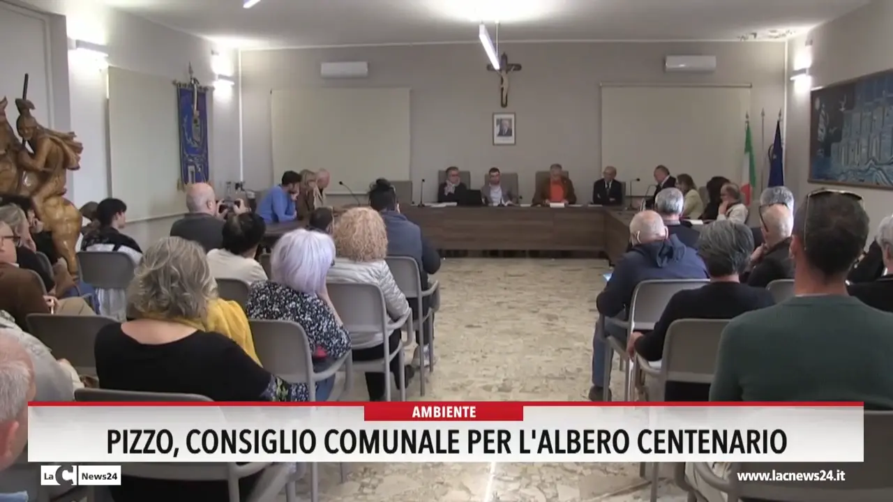 Pizzo, Consiglio comunale per l'albero centenario