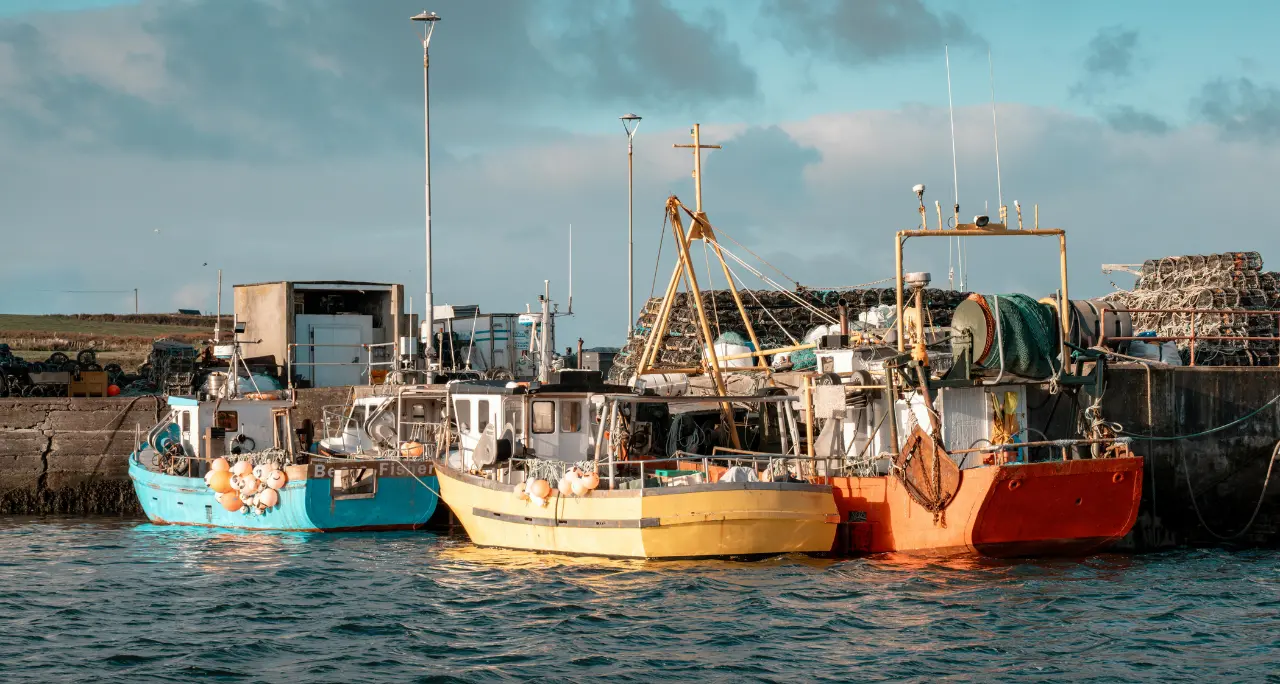 Caro carburante, ancora fermi i pescherecci a Schiavonea: «Servono misure urgenti, intervenga il Governo»\n