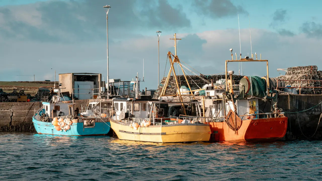 Caro carburante, ancora fermi i pescherecci a Schiavonea: «Servono misure urgenti, intervenga il Governo»\n
