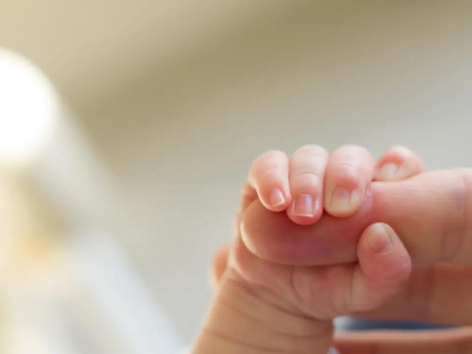 Nel Vibonese non si fanno più figli: in 40 anni natalità dimezzata (-52%). Solo a Jonadi trionfa l’amore (+43%), tutti i dati comune per comune