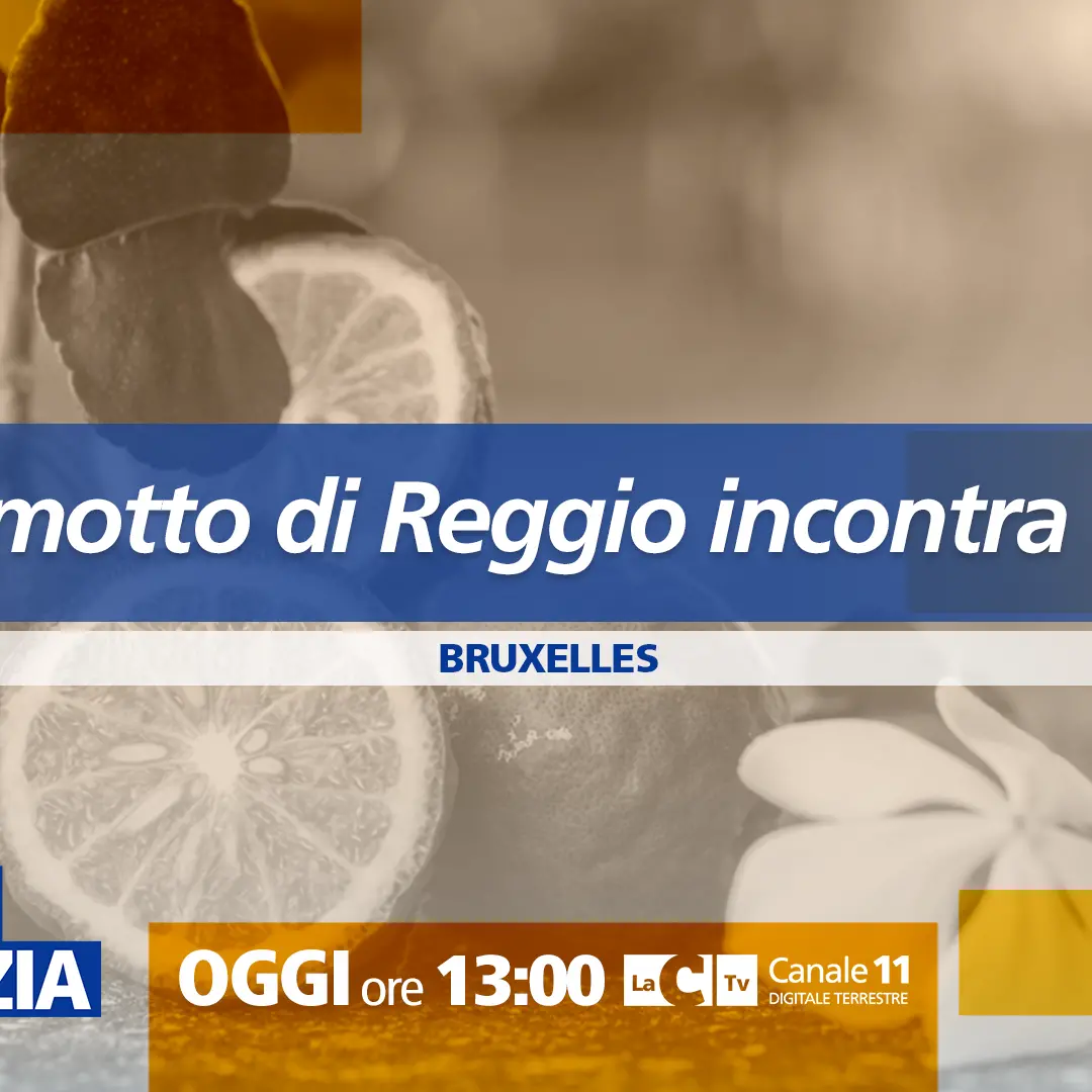 Dentro la Notizia\u00A0a Bruxelles per il Bergamotto di Reggio: appuntamento alle 13. Aggiornamenti LIVE sulla tragedia di Catanzaro\n