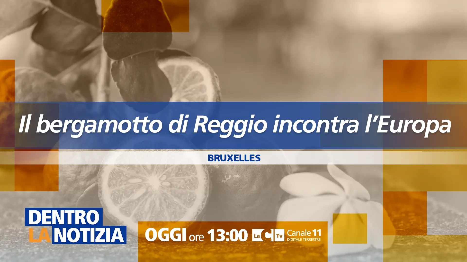 Dentro la Notizia\u00A0a Bruxelles per il Bergamotto di Reggio: appuntamento alle 13. Aggiornamenti LIVE sulla tragedia di Catanzaro\n