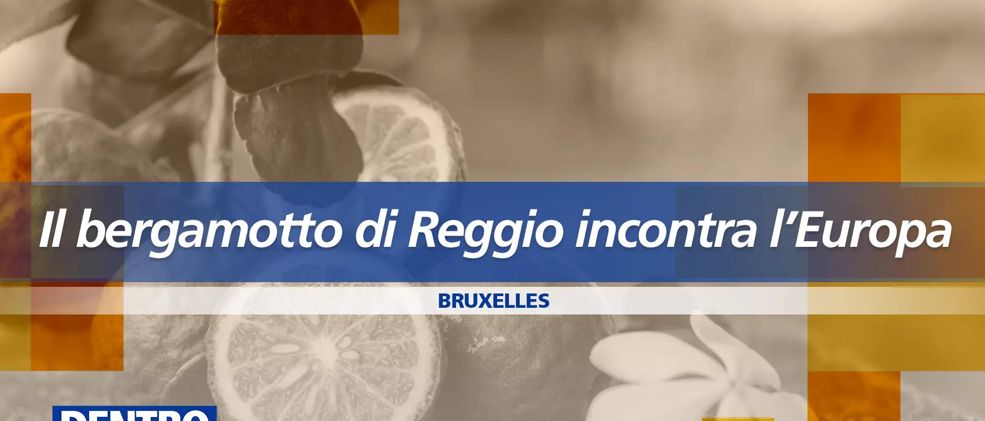 Dentro la Notizia\u00A0a Bruxelles per il Bergamotto di Reggio: appuntamento alle 13. Aggiornamenti LIVE sulla tragedia di Catanzaro\n