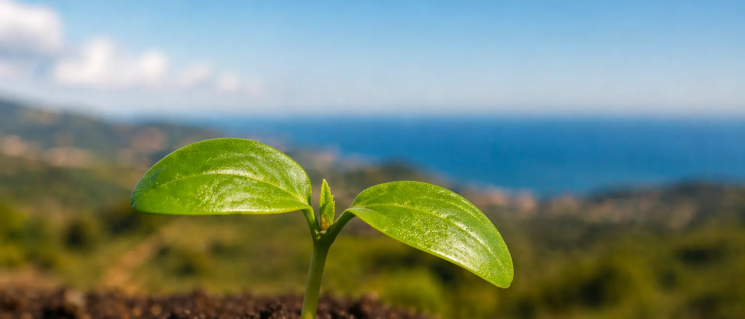 Il cemento divora la ricchezza della\u00A0Calabria: persi ogni anno prodotti agricoli per 15 milioni di euro\n