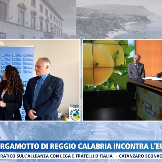 Il bergamotto di Reggio Calabria protagonista a Bruxelles tra opportunità, ricerca e mercato\n