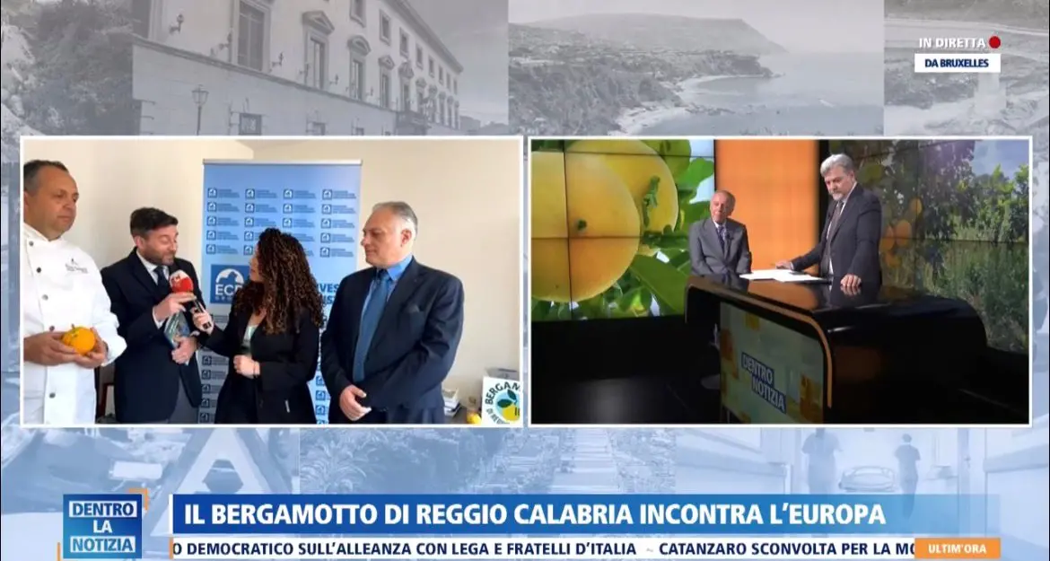 Il bergamotto di Reggio Calabria protagonista a Bruxelles tra opportunità, ricerca e mercato\n