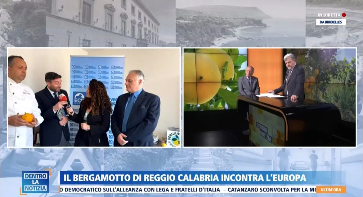 Il bergamotto di Reggio Calabria protagonista a Bruxelles tra opportunità, ricerca e mercato\n