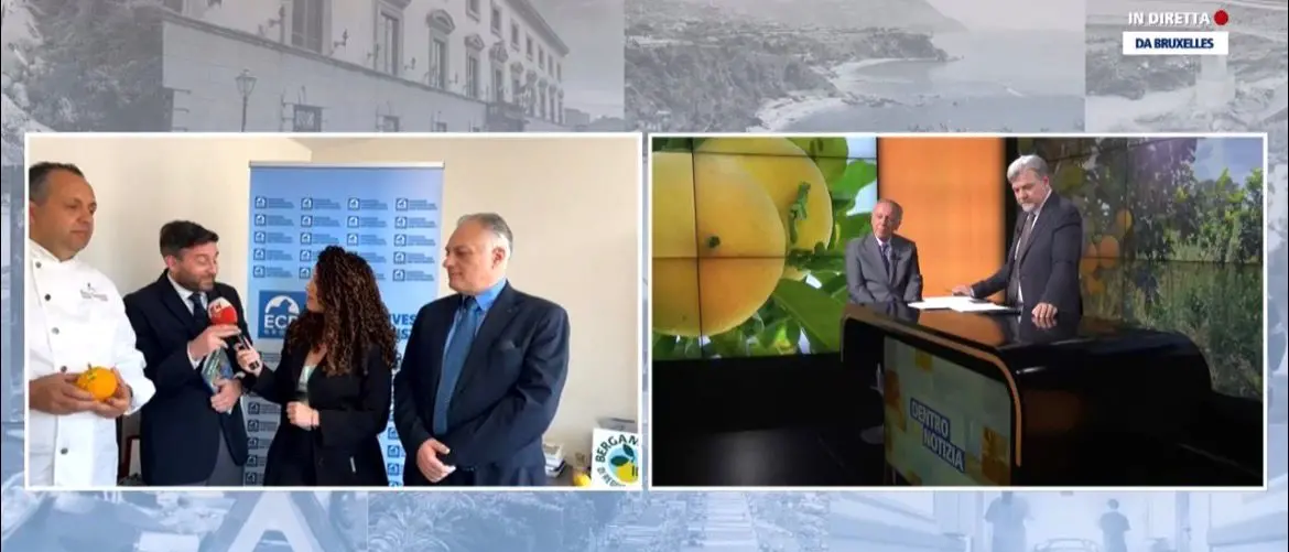 Il bergamotto di Reggio Calabria protagonista a Bruxelles tra opportunità, ricerca e mercato\n