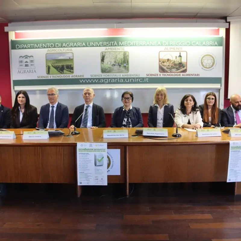 Mediterranea, Innovazione e Proprietà Intellettuale: ad Agraria\u00A0focus su\u00A0tutela di Marchi e Brevetti in Calabria\n