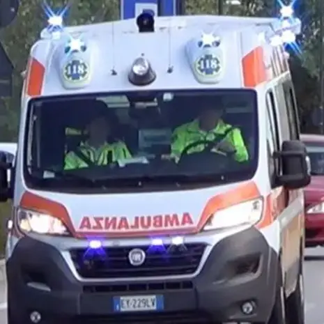 Accoltellata dopo aver soccorso un cane, caccia all’uomo nel Lodigiano\n\n\n