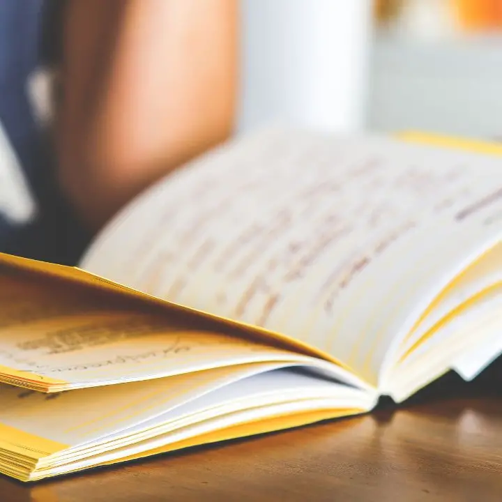 A Vibo si alza il sipario sul Maggio dei libri: oltre 10 appuntamenti con autori, giornalisti e studiosi\n