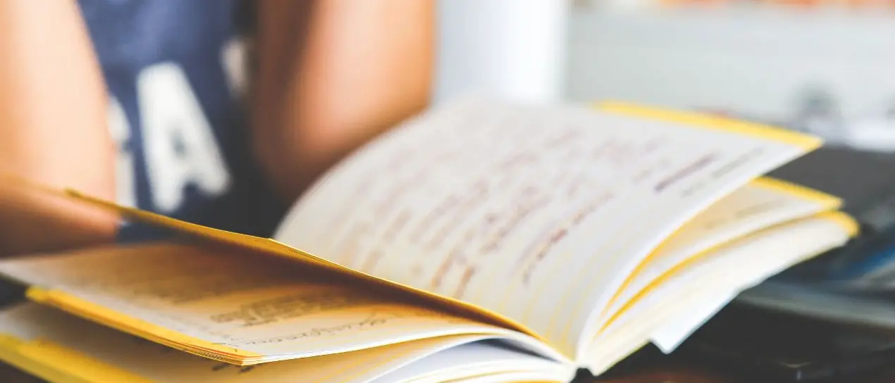 A Vibo si alza il sipario sul Maggio dei libri: oltre 10 appuntamenti con autori, giornalisti e studiosi\n