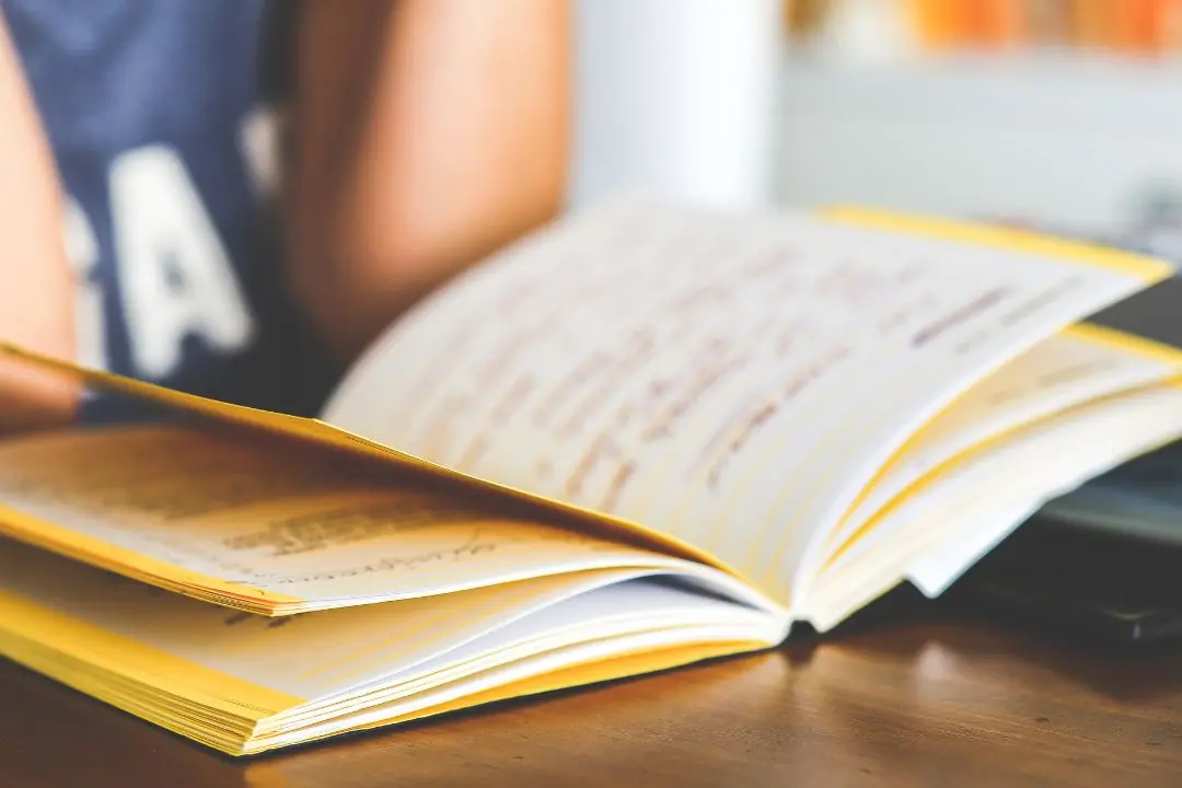 A Vibo si alza il sipario sul Maggio dei libri: oltre 10 appuntamenti con autori, giornalisti e studiosi\n