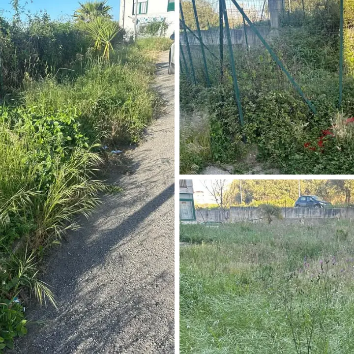 La casa nella prateria…\u00A0a Vena Superiore: erba alta, bisce e topi assediano un condominio\n