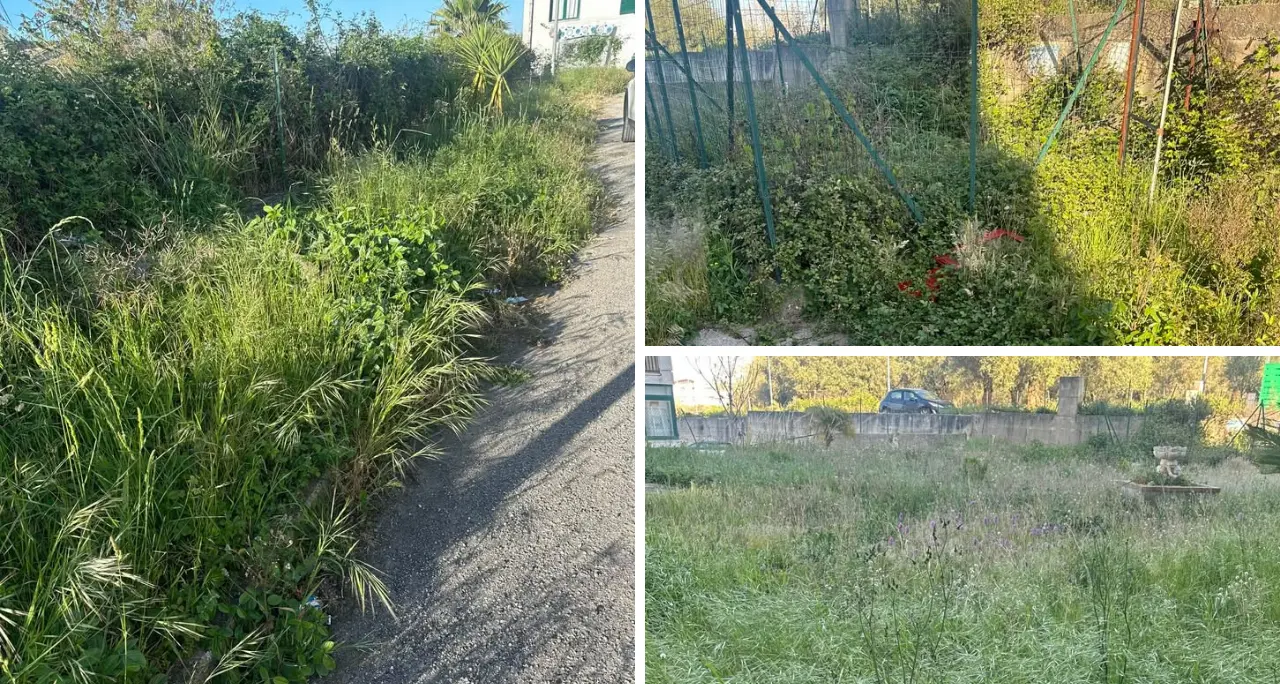 La casa nella prateria…\u00A0a Vena Superiore: erba alta, bisce e topi assediano un condominio\n