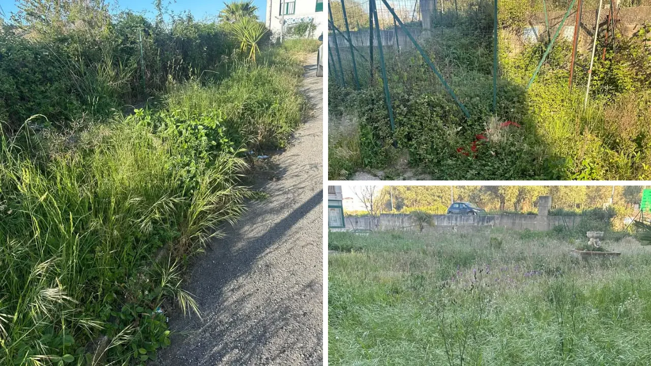 La casa nella prateria…\u00A0a Vena Superiore: erba alta, bisce e topi assediano un condominio\n