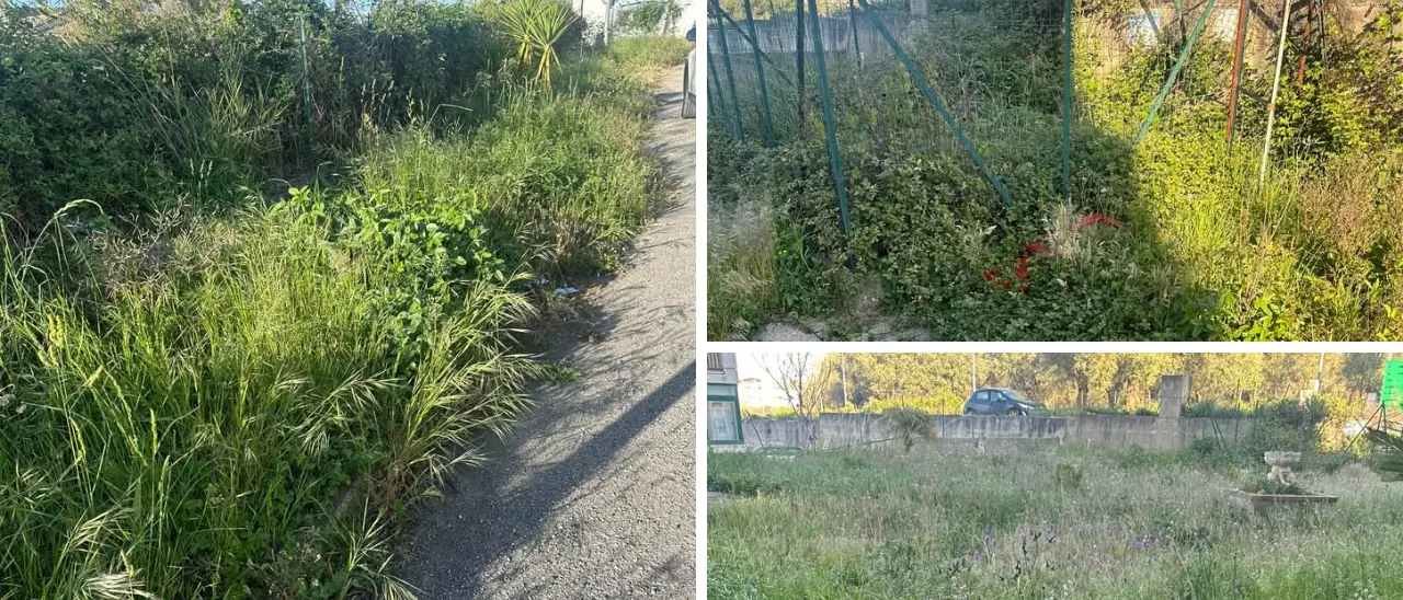 La casa nella prateria…\u00A0a Vena Superiore: erba alta, bisce e topi assediano un condominio\n