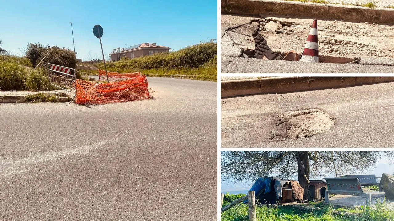 <p>Viale Accademie Vibonesi&nbsp;tra erbacce e voragini</p>\\n